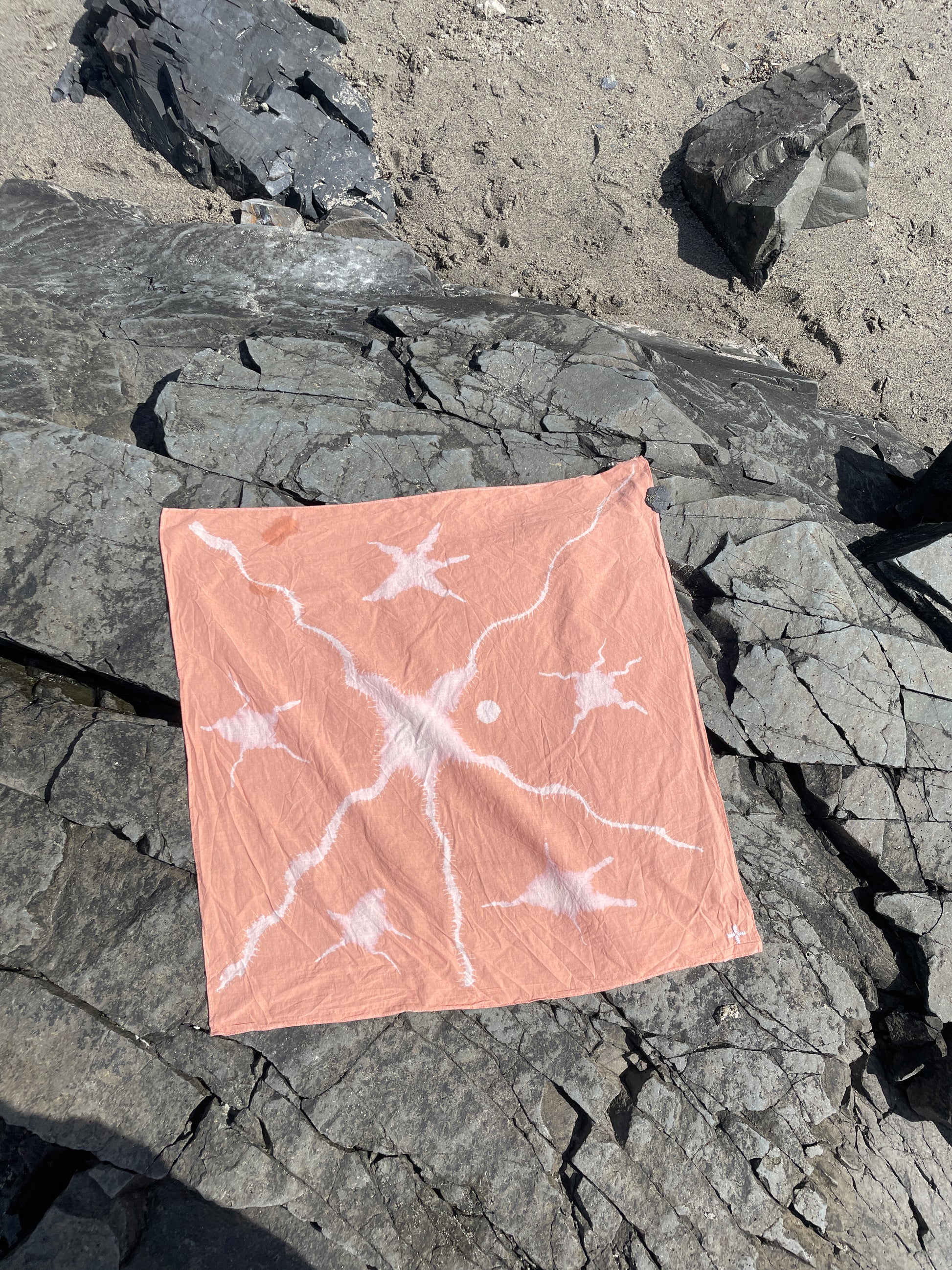 Starfish