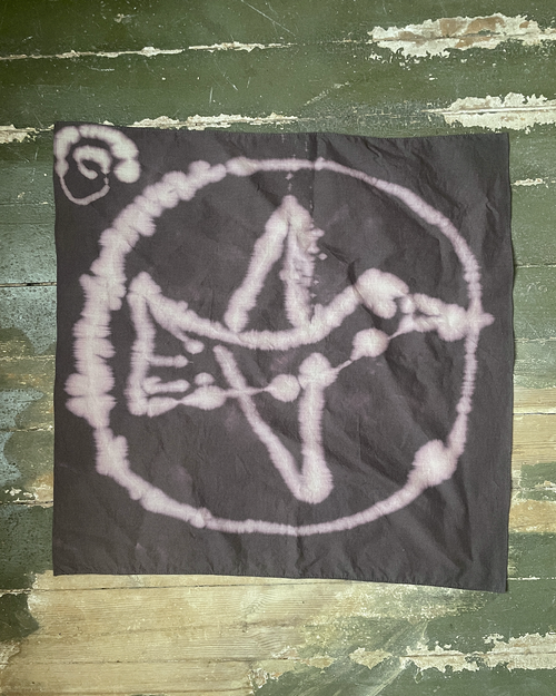 Circle of life - Bird