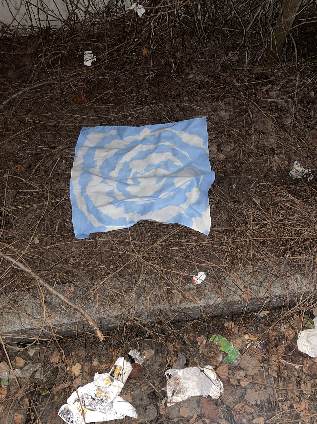 Four suns for Solveig