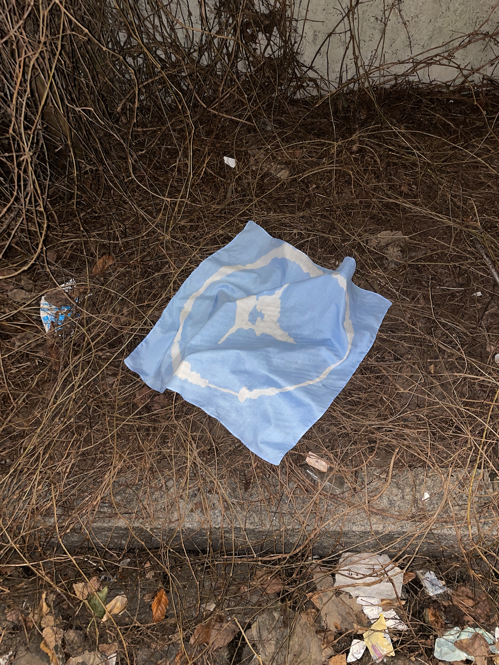 Four suns for Solveig