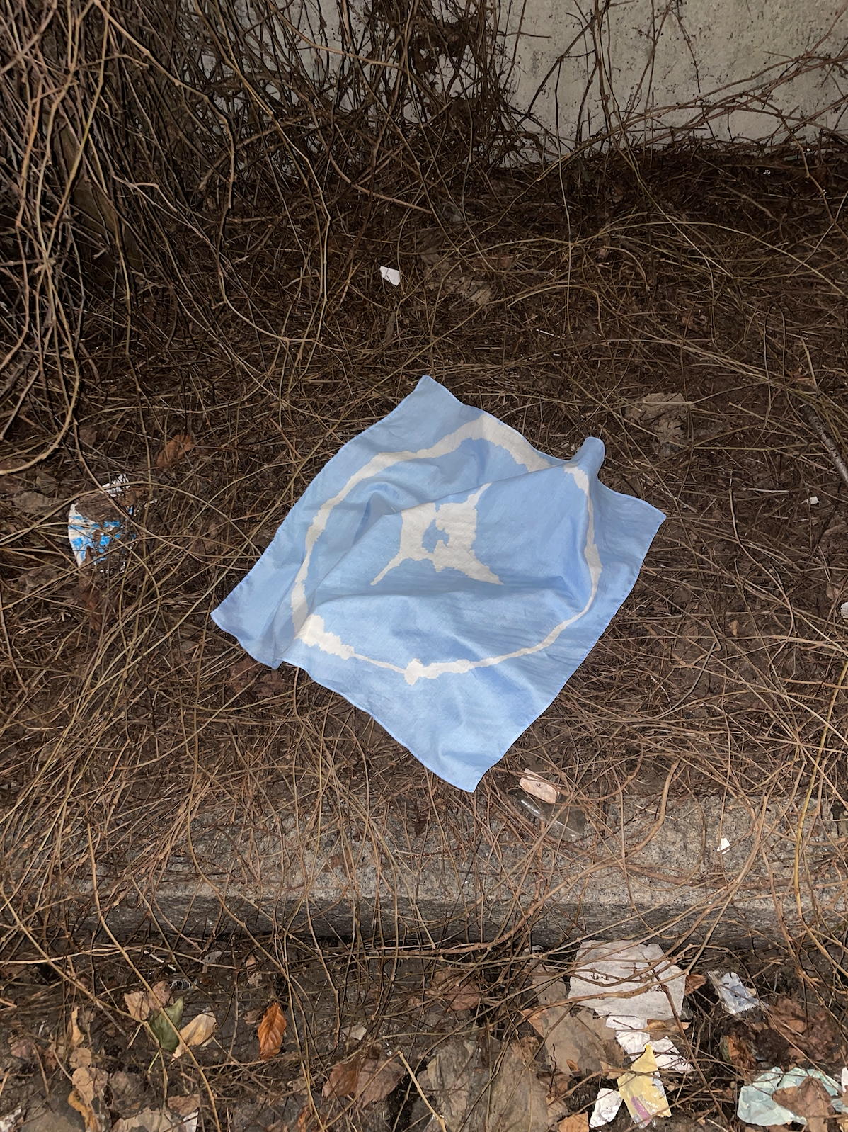 Four suns for Solveig