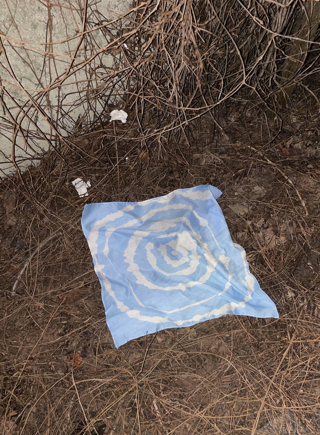 Four suns for Solveig